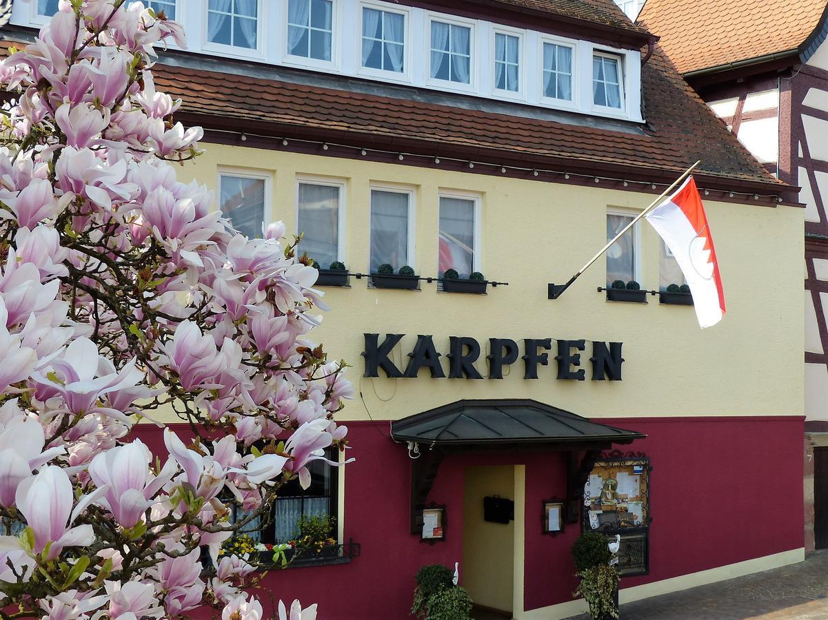 Hotel & Restaurant Zum Karpfen Obernburg am Main Luaran gambar